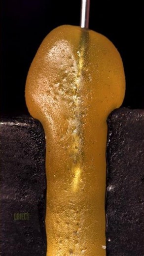 Gummy Worm vs Water