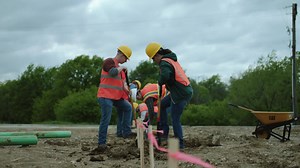 Caterpillar on Reels
