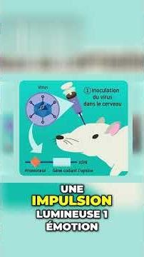 Optogenetics: Controlling neurons with light, or the neuroscience revolution