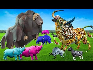 Gaint Buffalo VS Gaint Bull Saved Cartoon Cows Family Epic Cartoon Buffalo Animal Epic Battle