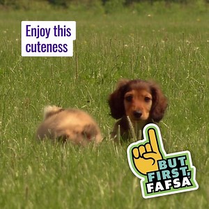 You already started your FAFSA form, now finish it up. Complete your form, and get money for college. | Federal Student Aid