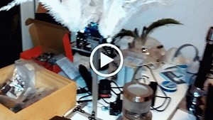 Feathered proximity alert﻿ – @arduino