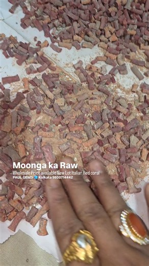 💎 Paul Gems on Instagram: "Real Moonga Ka raw form Natural red italian coral Collection New lot PAUL GEMS 💎 Kolkata West Bengal 9800714442 . . . #paulgems #coralraw #certificatecoral"