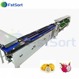 [Hot Item] Fstsort Dragon Fruit Sorting and Grading Machine Fruit Sorting and Grading Machine Electronic Weighing and Grading Machine