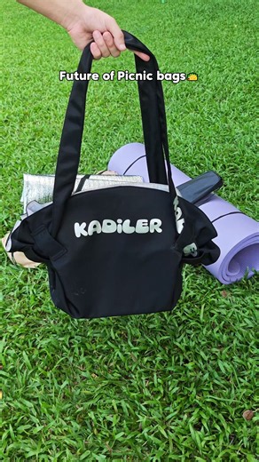 Tote Bag Organizer: Quick Storage & Shopping Tote Ideas