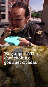 670K views · 3K reactions | New York chef Joseph Yoon specialises in cooking with insects. 聯 He promotes the use of insect protein in American diets through his group, Brooklyn Bugs. https://bbc.in/2RUwIaX | BBC News | Facebook