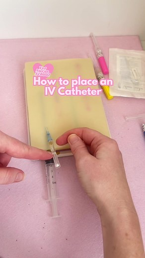 IV Catheter Placement Training Tips for Veterinary Nurses