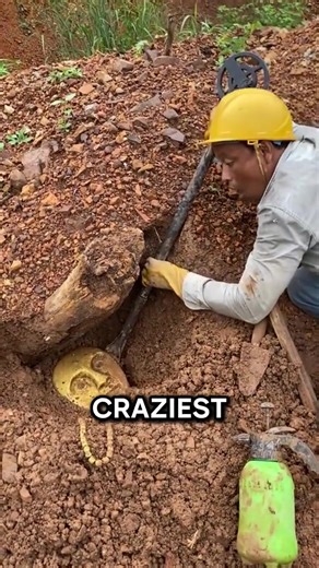 #newviral #goldhunter #minigold #golddiscovery #usa | finding gold