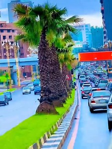 74K views · 2.4K reactions | Addis Ababa City Roads Authority /አዲስ አበባ ከተማ መንገዶች ባለሥልጣን on Reels | Facebook