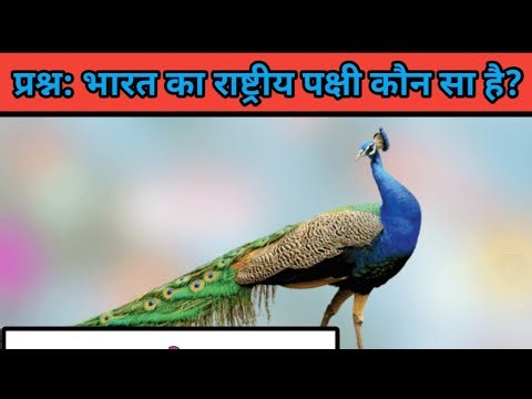 5th class Gk questions//कक्षा 5 के लिए सामान्य ज्ञान #generalknowledge //General in hindi