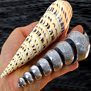 1.6M views · 4.3K reactions | Pouring Molten Metal Inside A Seashell | DIY & Crafts | Facebook