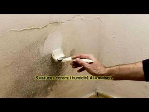 5 astuces contre l’humidité à la maison