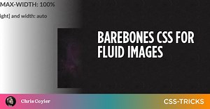 Barebones CSS for Fluid Images | CSS-Tricks