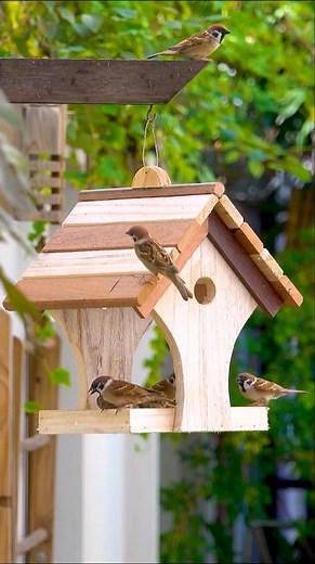 Build a DELIGHTFUL Bird Feeder in Minutes!