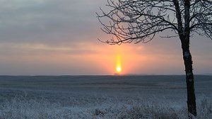 The North Dakota Game and Fish Department Advisory Board will host public meetings on site this fall at eight locations across the state. These public meetings, held each spring and fall, provide citizens with an opportunity to discuss fish and wildlife issues and ask questions of their district advisors and agency personnel. Topics to be discussed include: 2022-24 fishing proclamation, drought conditions impacting water levels, epizootic hemorrhagic disease, chronic wasting disease, meadowlark 