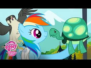 Friendship is Magic Season 2 - 'Rainbow Dash's Perfect Pet' Official Clip