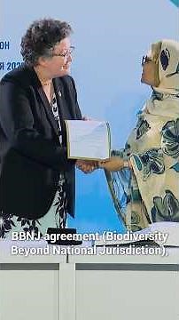 Treaty to Protect the Ocean Unites Nations on Common Goal