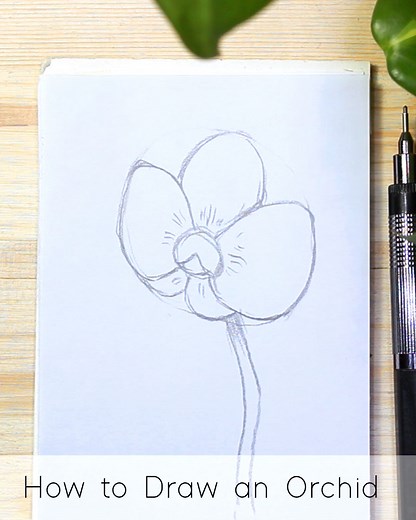 How to Draw an Orchid : Step by Step for Beginners - JeyRam Drawing Tutorials