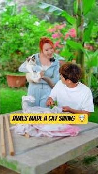 James Made A Cat Swing 🤯|New Viral Gadgets, Smart Appliances, Kitchen Utensils/ Home Inventions