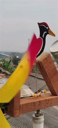 Funny Bird Scarer That Works Brilliantly — and Annoys Everyone