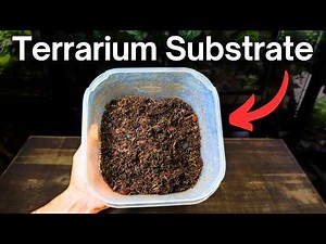 The BEST Substrate Mix For Terrariums - Step By Step Tutorial