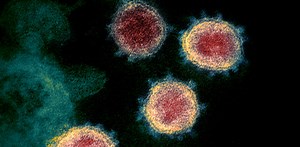 What is a virus? How do they spread? How do they make us sick?