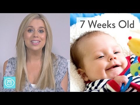 7 Weeks Old: What to Expect - Channel Mum