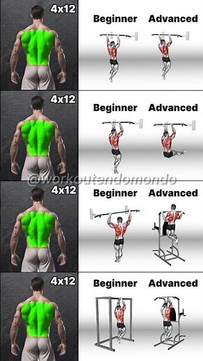 Become a Pull-Up Master — From Beginner to Advanced