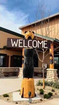 Black Bear Diner Review 🐻