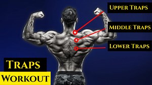 15 Best Trap Exercises for Mass and Strength
