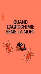 12K reactions · 22K shares | « Je me suis vu marcher sur des tapis d’abeilles mortes dans nos ruchers » : depuis les années 1990, la population d’insectes diminue fortement, l'occasion de questionner notre façon de penser l'agriculture 裂 so.arte/Insecticide | ARTE | Facebook