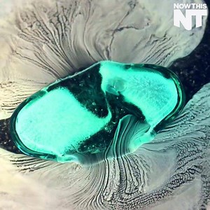 Watching pill capsules dissolve is actually really satisfying (footage via Macro Room) | NowThis