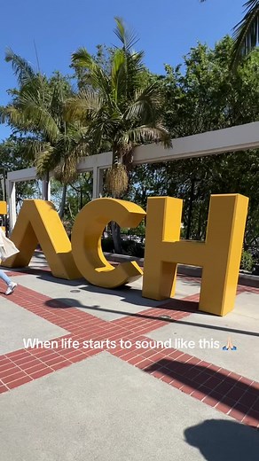 Where my CSULB girlies at 🎀… we finally made it !! 😭 @csulbstudent #csulbgrad #graduation #firstgeneration #parati #asifue #4u #calstatelongbeach #longbeach #losangeles #orangecounty #graduate #collegeadmissions