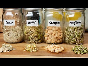 How To Sprout Anything