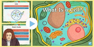 What Is a Cell? PowerPoint & Google Slides for 6th-8th Grade