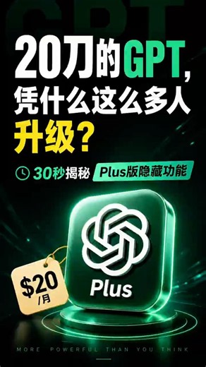 20刀的chatgpt plus到底值不值？和免费版区别在哪？国内充值gptplus不用信用卡，支付宝升级chatgpt plus #chatgptplus #gpt #chatgpt #image