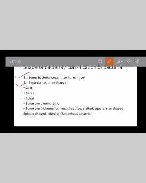classification of bacteria in microbiology part 1
