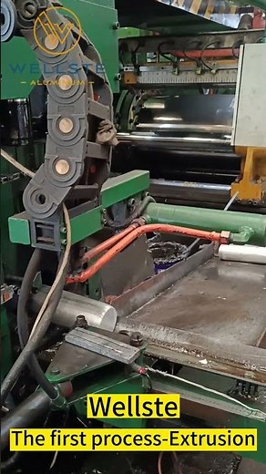 Extrusion Process | Wellste