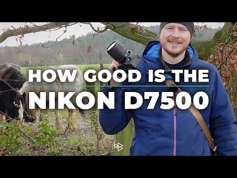 Is the Nikon D7500 a Good Camera?