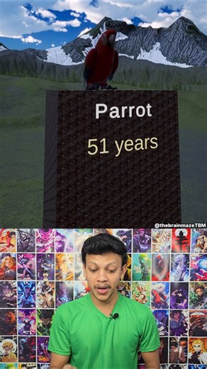 Animal Lifespan Comparison 🦁🐢