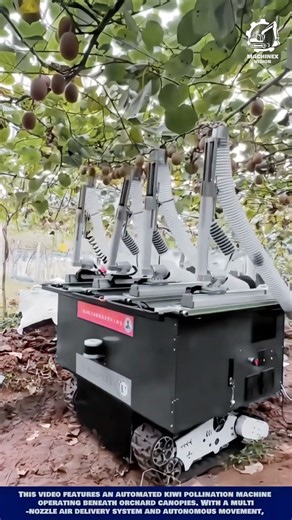 Precision Autonomous Picking Machine Innovation for Fresh Fruit Harvest