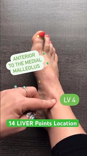 How to locate the 14 LIVER Acupuncture Points #acupuncturepoints