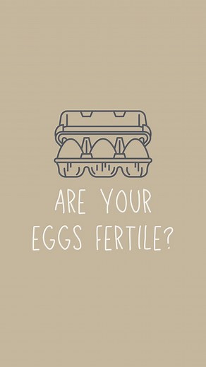 75K views · 396 reactions | Do you know if your eggs are fertilized...