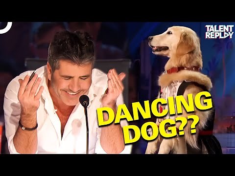 This Dog’s Dance Moves Will BLOW Your Mind! | America's Got Talent