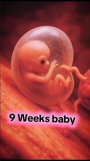 Baby Development Week by Week | Amazing Pregnancy Journey Explained"