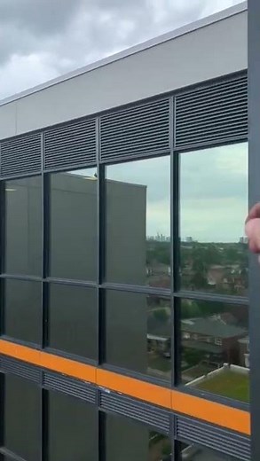 How to Keep Pigeons Off Your Balcony | Pigeons Exclusion Services