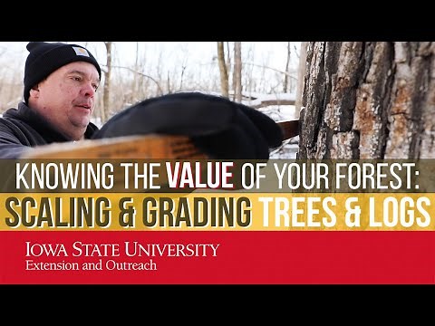 Knowing the Value of your Forest: Scaling & Grading Trees & Logs