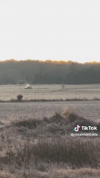 Wisconsin Deer Hunting Season: Tips and Tricks