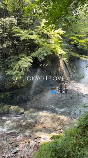 Tabi Travel | Japan Day Trips on Instagram: "As someone who grew up here, I don’t really see Tokyo as such a chaotic place. Yes, it can be busy and overwhelming at times, but people are just living their lives here — minding their own business, spending time alone, or with friends and family. It’s ordinary life, but it’s certainly beautiful in its own way. If you ever travel here, I hope you get a glimpse of those everyday moments (respectfully!), not just the touristy spots. #tabitraveljapan #j