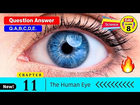 The Human Eye 👀 Dav Class 8 Science Chapter 11 Question Answer | Dav Public School | Q.A,B,C,D,E :)